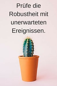 PrüfeRobustheit